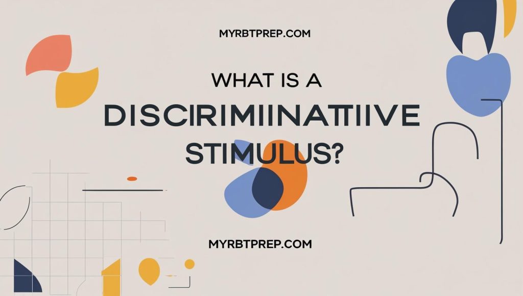 What Is a Discriminative Stimulus