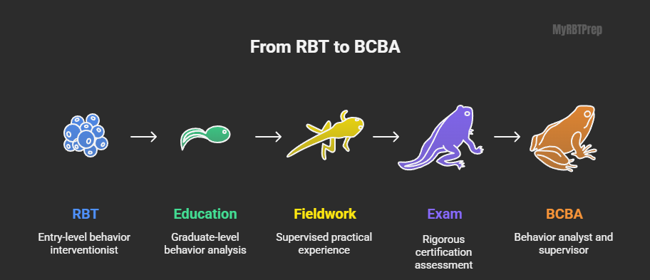 Before You Apply: Understanding BACB RBT Requirements
